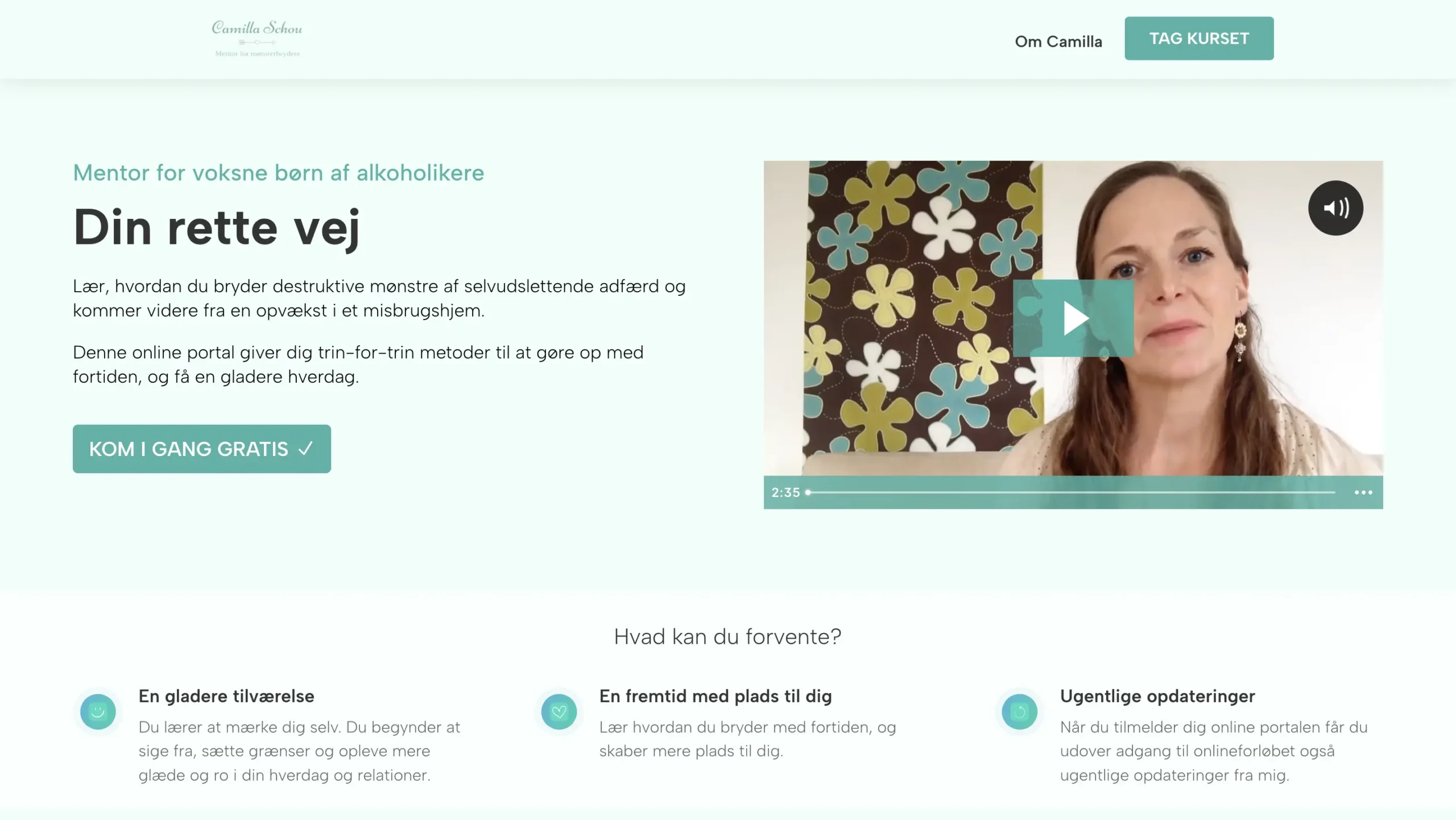 hjemmeside landing page for