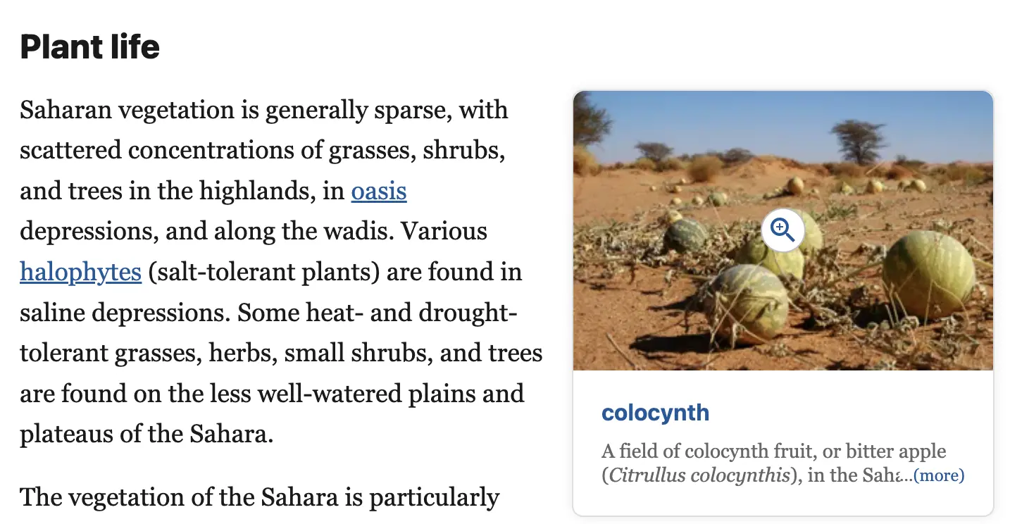 Backlinks eksempel på en hjemmeside på SERP