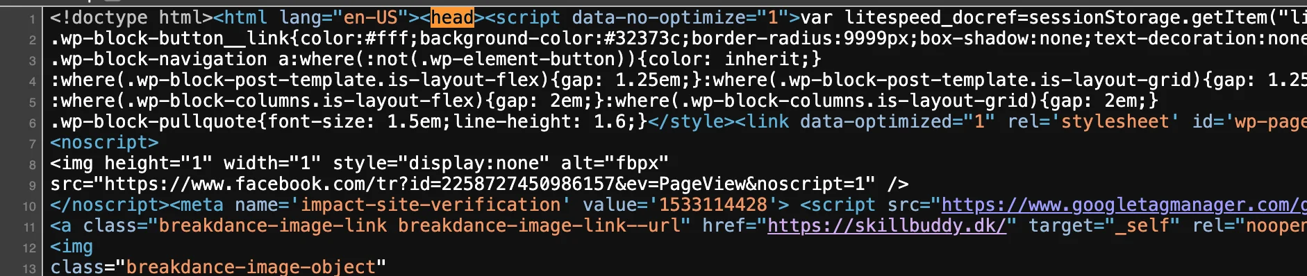 Hjemmesidens page source på google