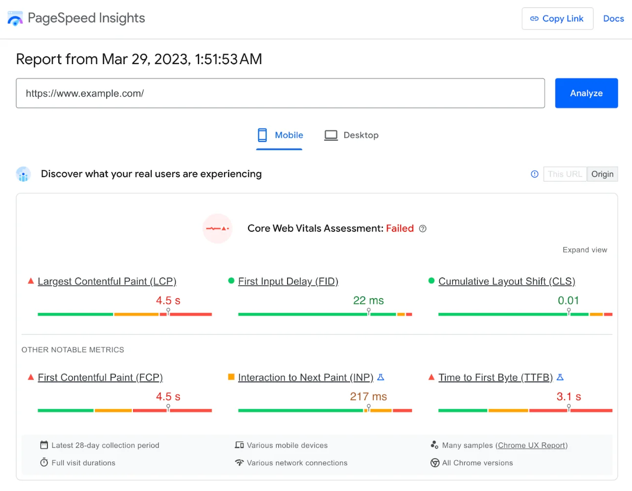 Pagespeed Insights analyse program